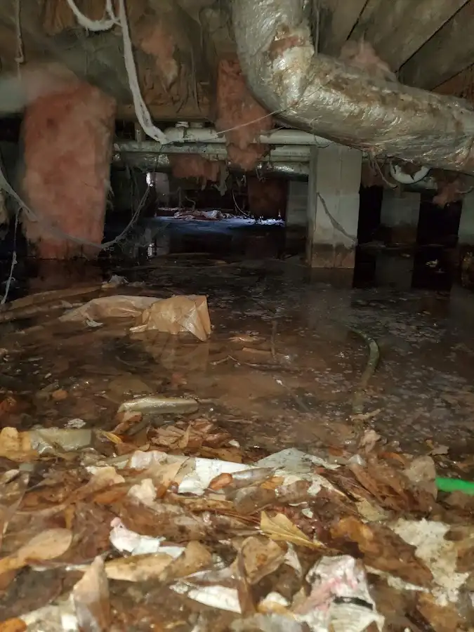 Crawl space flood assessment for Leak Detection & Repair in Madison