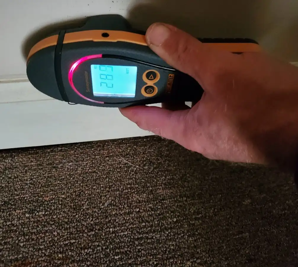 Moisture detection at baseboard during Sewage Cleanup & Sanitation in Madison